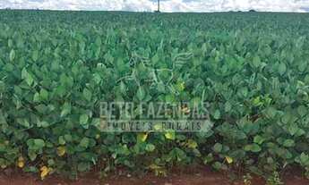 Imagem 7: Fazenda/Sítio/Chácara para venda com 5614400 metros quadrados