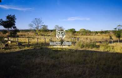 Imagem 3: FAZENDINHA DE OPORTUNIDADE DE 120 HA PLANA PARA PLANTIO OU PECUARIA NA REGIÃO DE PIRAPORA