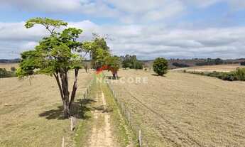 Imagem 7: Sítio em Rua Saldanha Marinho - Centro - Itapetininga/SP