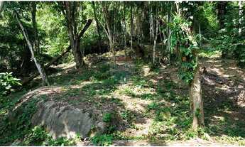 Imagem 4: Seu Refúgio no Paraíso: Terreno em Ilhabela