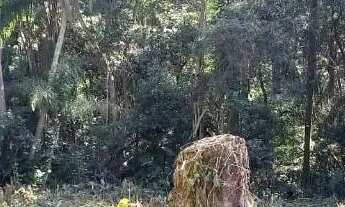 Imagem 3: Terreno à venda, 598 m² por R$ 250.000,00 - Vila Verde - Itapevi/SP