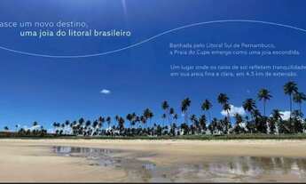 Imagem 3: Apartamento 3 qts em Resort na beira mar da pria do Cupe