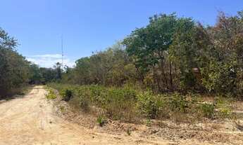 Imagem 3: Lote itacaiu Araguaia