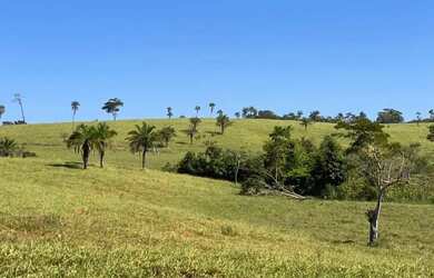 Imagem 2: Fazenda a venda Fazenda / sítio com venda por R$48.500.000