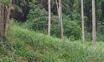 Imagem 2: Terreno para chácara em Juquiá