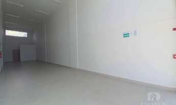 Imagem 3: Ótima oportunidade