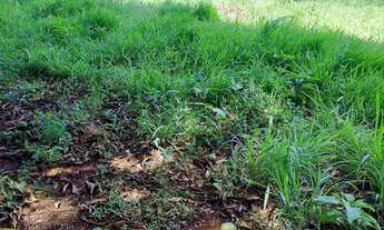 Imagem: Vendo terreno