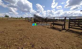 Imagem: FAZENDA À VENDA - 1.000 HECTARES - SANTA