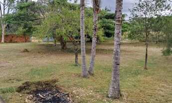 Imagem 5: Chácara com 3 dormitórios à venda, 5000 m² por R$ 650.000 - Rural - Jardim Peixoto - Anápo