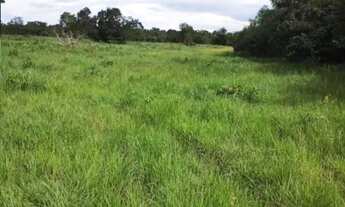 Imagem 4: Vendo 16.20 alqueires no município de Araguapaz