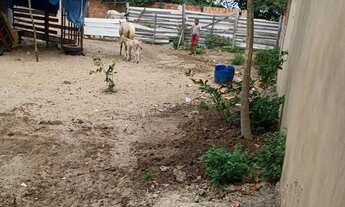 Imagem 5: Vendo terreno 10x20 na Barra Dos Coqueiros