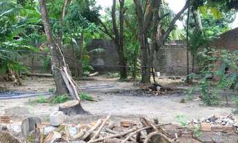 Imagem 5: Venha realizar seu sonho em ter um sítio bem localizado próximo á praias