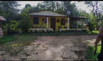 Imagem: Vendo sítio em monte gordo