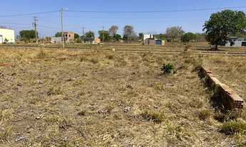 Imagem 6: Vendo lote no luzimangues