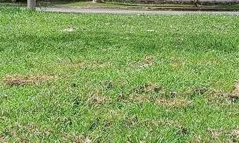 Imagem 5: Terreno de 414 m2 à venda na Ilha de Guaratiba - Rio de Janeiro - RJ