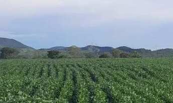 Imagem 5: Fazenda 208 Algueires em Colinas/GO