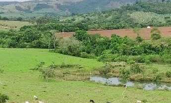 Imagem 5: Fazenda à venda de 82 alqueires em Anápolis-Go
