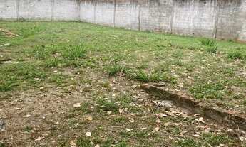 Imagem 6: Lote à venda em rua pública, PRAIA DO FRANCÊS, Marechal Deodoro, AL