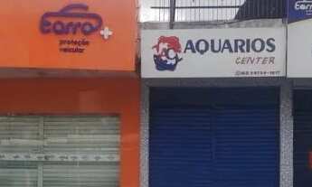 Imagem 2: ALUGA-SE APARTAMENTO EM FRENTE À INTEGRAÇÃO VALOR $700,00 + AGUA E LUZ