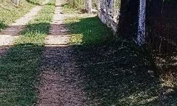 Imagem 4: Vendo ou troco no cotia