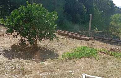 Imagem 3: Chácara em São José dos Pinhais