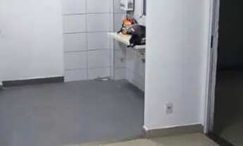 Imagem 3: Sol do porto Apartamento com 2 dormitórios