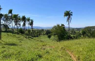 Imagem 2: Fazenda à Venda 308 Alqueires São Luís de Montes Belos - GO