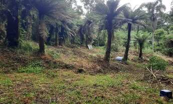 Imagem 7: Chacarra quatro baras