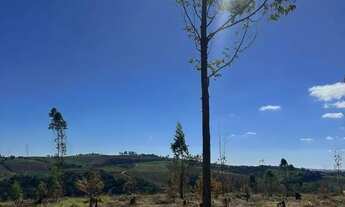 Imagem 5: Seu Lote em Ibiúna por apenas R$34.997 Corra!