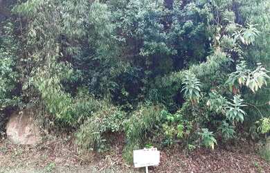 Imagem 3: Lote em condomínio em Rua Mocidade Alegre - Jardim San Ressore (Caucaia do Alto) - Cotia/S