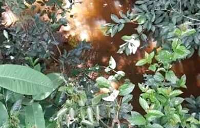 Imagem 7: Sitio em Desterro de Entre Rios MG 9 hectares 90 mil metros Com Agua corrente