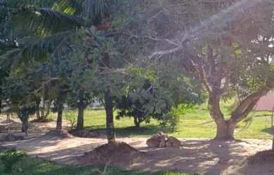 Imagem 6: CASA A VENDA EM CONDOMÍNIO EM PONTE DOS LEITES/ARARUAMA