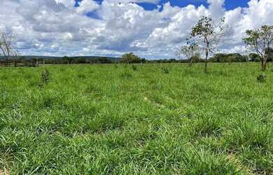 Imagem 2: Fazenda de 150 hectares toda escriturada e em dia, na beira do lago do manso