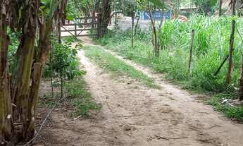 Imagem 6: Chácara a venda com 10mil metros