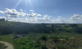 Imagem 7: Lote Governador Mangueira, Rua Vanju