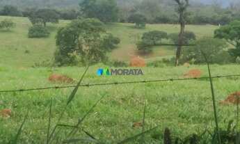 Imagem 5: MATEUS LEME - Fazenda - Zona Rural