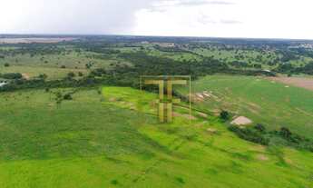 Imagem 3: Fazenda 495 Alqueires, Araguaçu, TO