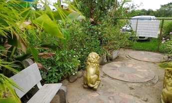 Imagem 4: Excelente sítio com casa de alvenaria, 4 km do centro de Viamão