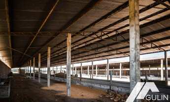 Imagem 6: Fazenda para Venda em Tijucas do Sul