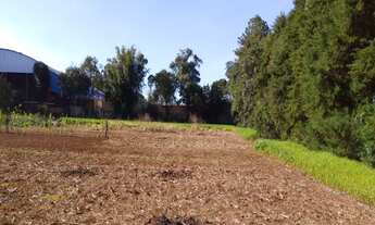 Imagem 7: TERRENO RESIDENCIAL em PONTA GROSSA - PR, UVARANAS