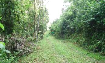 Imagem 5: Sítio à venda, 20000 m² por R$ 250.000,00 - Freguesia da Escada - Guararema/SP