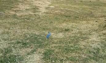 Imagem 5: Terreno à venda, 162 m² por R$ 89.999,99 - Vila Barão - Sorocaba/SP