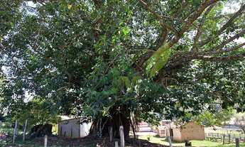 Imagem 6: Sítio à Venda em Piracaia com 62.000m²