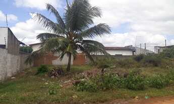 Imagem 6: Terreno pechincha em parparnamirim