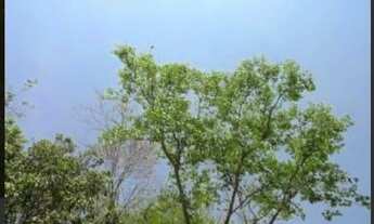 Imagem 7: Chácara em Acorizal venda R$ 85.000 com 17.5 Hectares documentada a 45