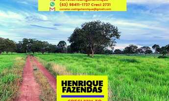 Imagem: Fazenda 573,54 hectares Vale do Araguaia