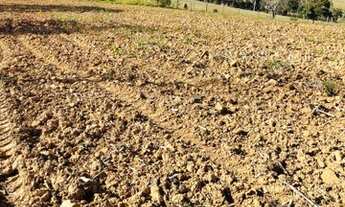 Imagem 3: CHÁCARA 1.000M COM FINANCIAMENTO DIRETO COM PROPRIETÁRIO