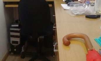 Imagem 7: Cobertura - Santa Paula - São Caetano do Sul