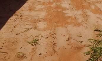 Imagem 2: Lote de 331 m2 Jardim Bela Vista - Bauru - SP