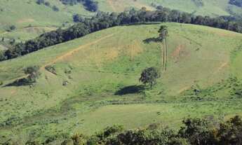 Imagem 3: Terreno para Venda em Camanducaia, Rural